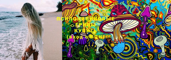 spice Володарск